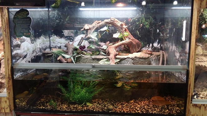Terrariums