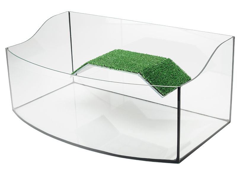 Paludarium (turtle aquarium)
