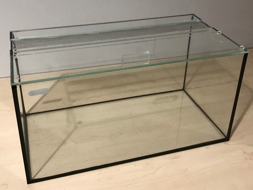 Snail tank