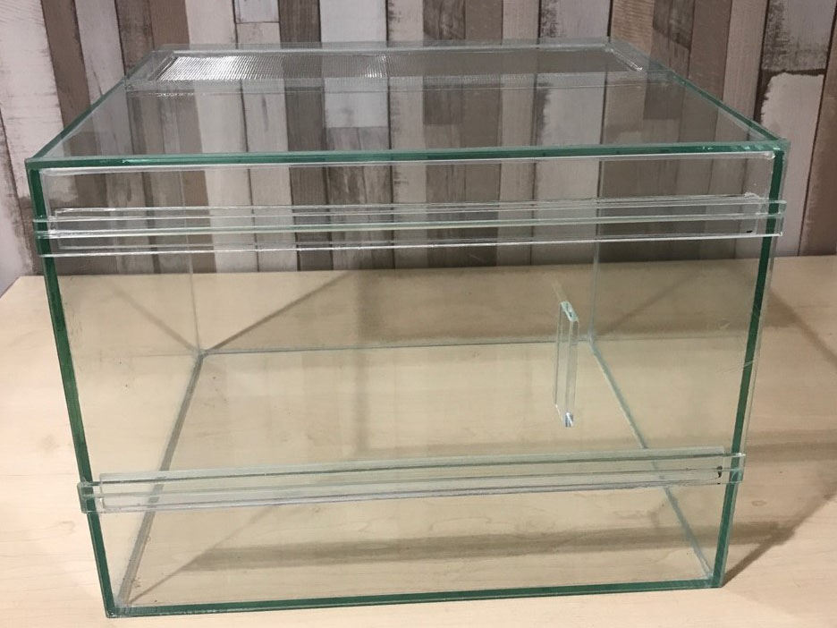 Terrarium
