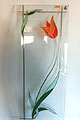 Stained glass for kitchen cupboards -  sample 7